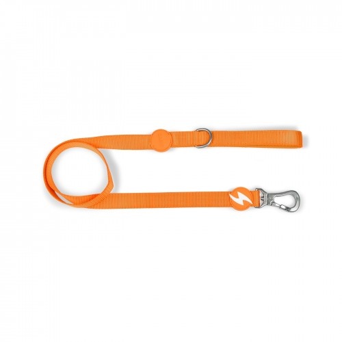 Correa de nylon para perros color Naranja