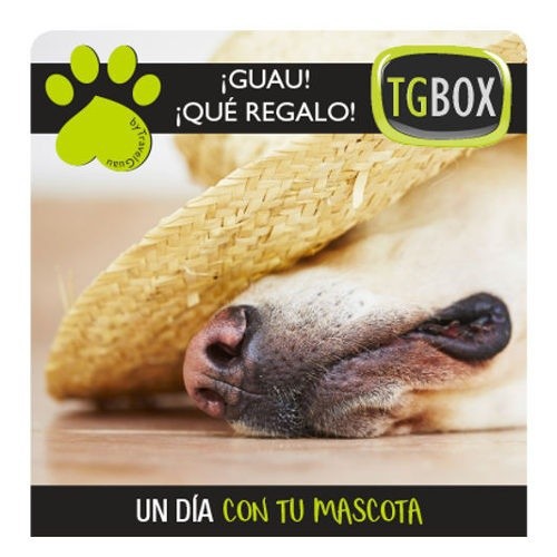 Un día con tu mascota TGBOX