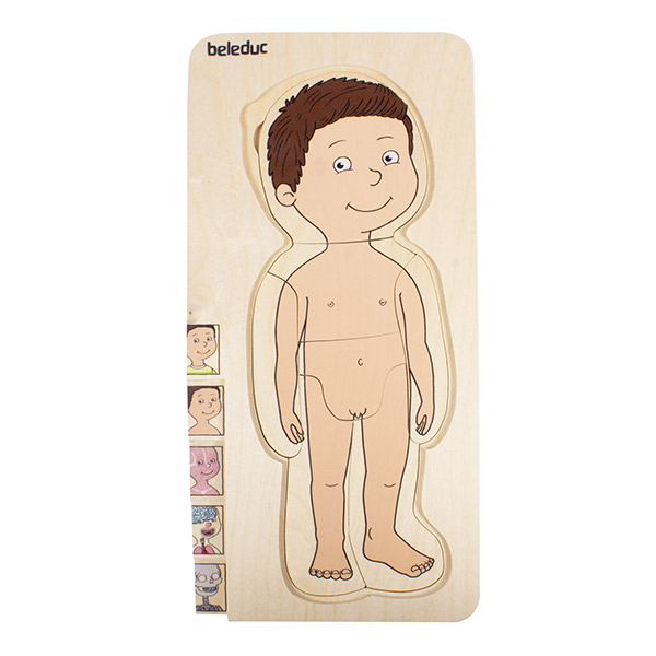 Puzzle 5 en 1 anatomía masculina