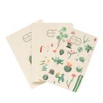 Pack de 3 cuadernos A6 Erik Kokonote Botanical Cacti