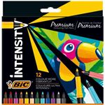 Set con 12 Rotuladores BIC Intensity Premium