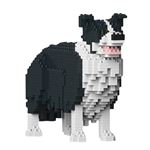 Puzzle 3D Jekca Border Collie 01S-M01