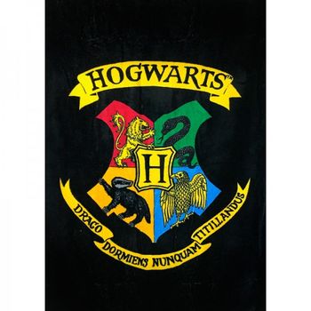 Toalla Hogwarts Harry Potter Algodon