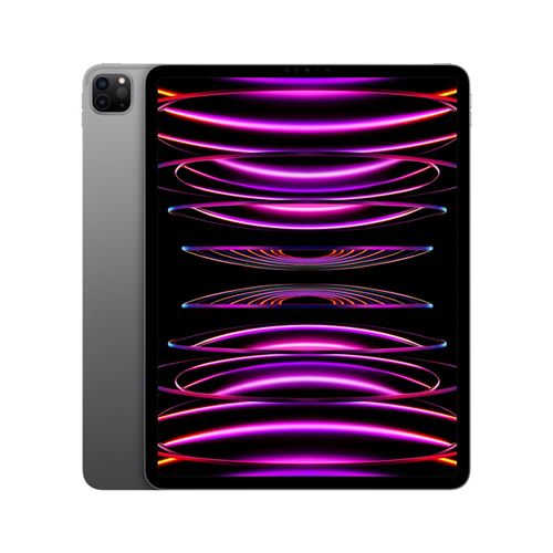 Apple iPad Pro 2022 12,9'' M2 256GB Wi-Fi Gris espacial