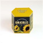 Kit autocultivo Resetea Girasoles