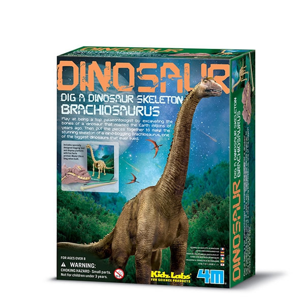 KidzLabs paleontología esqueleto Brachiosaurus