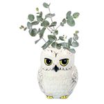 Macetero Harry Potter Hedwig 21cm