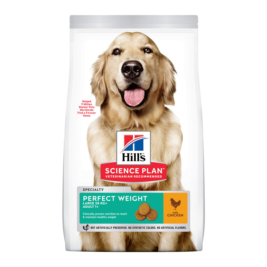 Hill's Science Plan Perfect Weight Adult Large Pollo pienso para perros