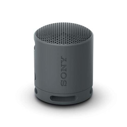 Altavoz Bluetooth Sony SRS-XB100 Negro