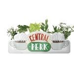 Macetero de mesa Friends Central Perk 17,5cm