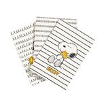 3 Cuadernos A5 Snoopy Lazy Days