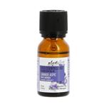 Aceite Esencial Plantas silvestres Lavanda Aspic 15 ml Nature et decouvertes