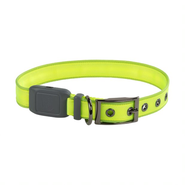 Nite Ize NiteDog Collar Led Recargable Verde para perros