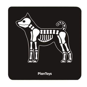 Plan Toys Mi Maleta Veterinaria