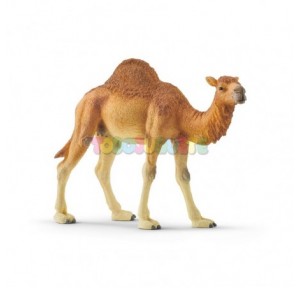 Figura Dromedario Schleich