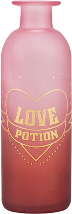 Florero Harry Potter Love Potion 16cm