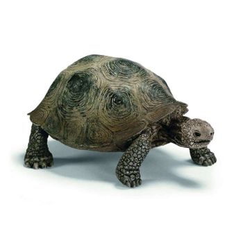 Tortuga Gigante