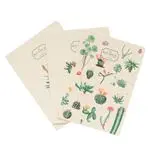 Pack de 3 cuadernos A5 Erik Kokonote Botanical Cacti