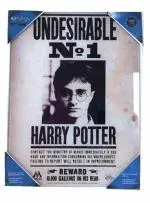 Póster de vidrio templado Harry Potter - Indeseable Nº1