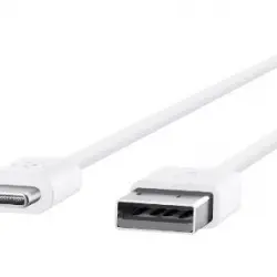 Cable Belkin F2CU032bt06-WHTde USB-A a USB-C Blanco 2 m