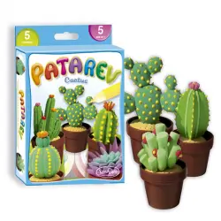 Patarev mini cactus