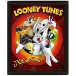 Cuadro 3D Looney Tunes Thats All Folks