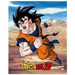 Cuadro 3D Dragon Balll Rivalry Power