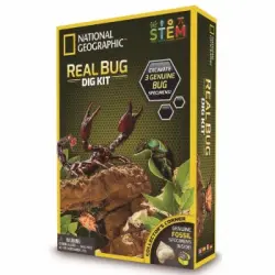 National Geographic - Kit Excava y Descubre Insectos
