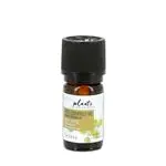 Aceite esencial de helicriso orgánico 5ml Nature et decouvertes