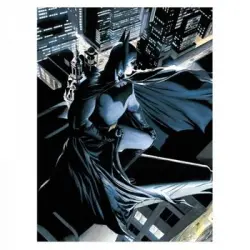 Poster Cristal Batman Dc Comics